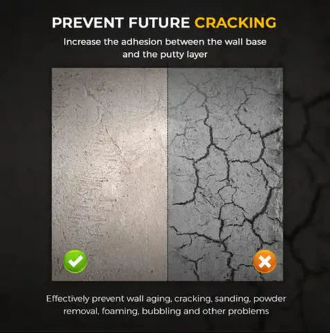 Rising Damp: Causes, Warning Signs & How to Fix It for Good